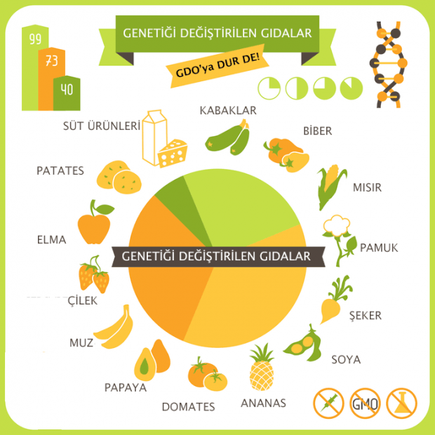 Genetiği en çok değiştirilen yiyecekler ve global oranları.