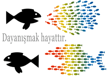 Dayanışmak hayattır.