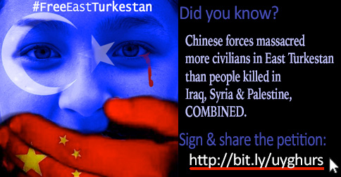 Banner for the East Turkestan Petition
