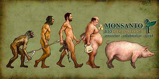 Monsanto ürünleri açısından insanlığın evrimi.